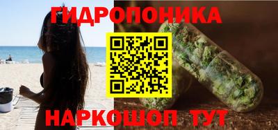 не бодяженный Камышлов