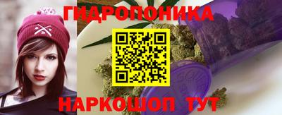 стаф Канаш