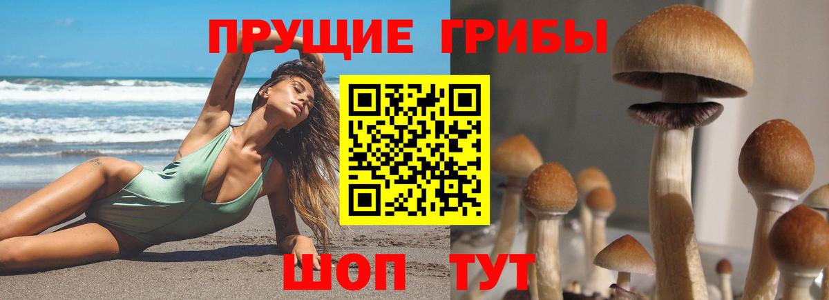 Псилоцибиновые грибы Cubensis  Вход с VPN  Лесной 
